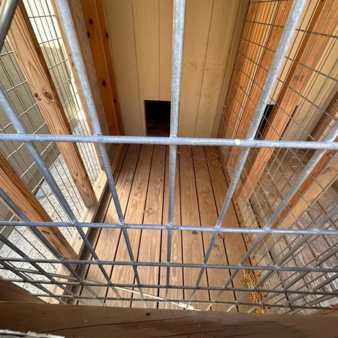 Dog kennel interior