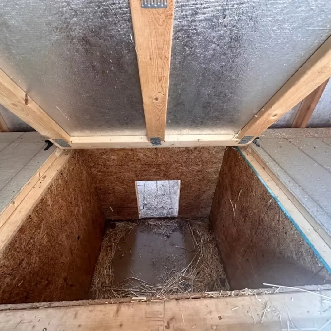 Dog kennel interior